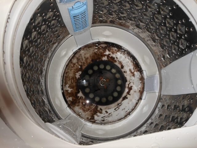 洗濯機の中に黒カビが発生